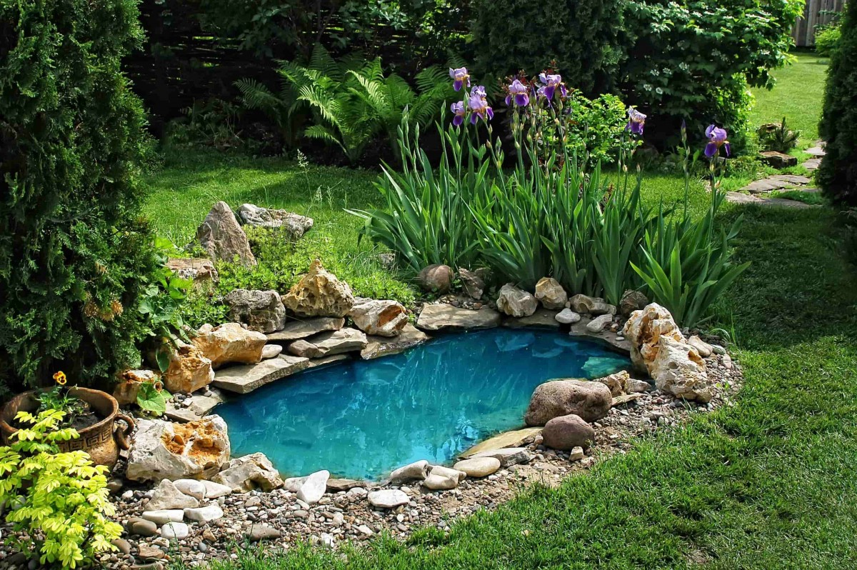 mini piscine naturelle